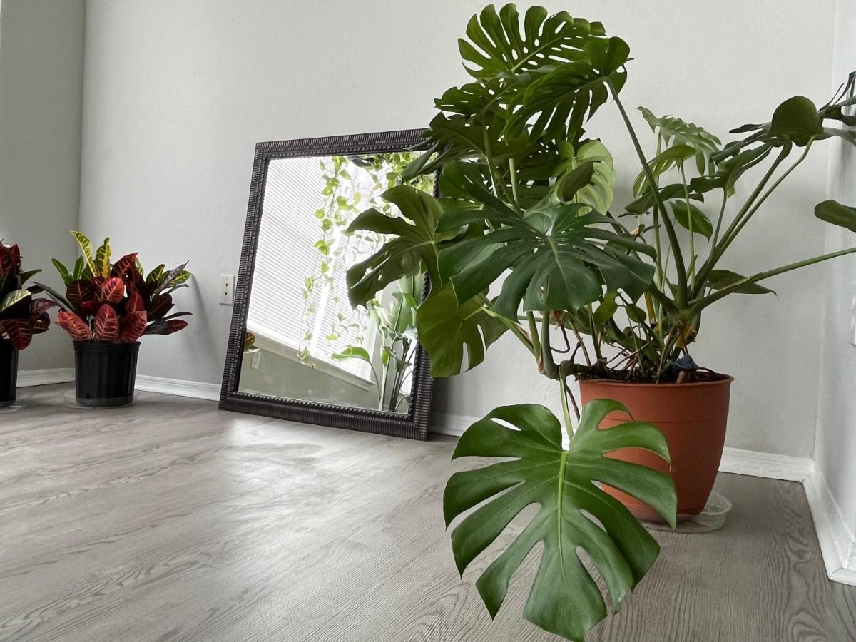 Next To Universal! 2Bedroom-2Bath-Many Indoor Plants Orlando Eksteriør bilde